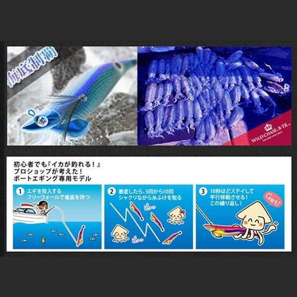 ワイルドチェイス3．0B－TR